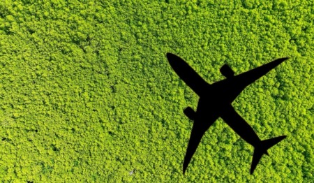 Uma imagem do alto de uma vegetação verde com a sombra de um avião sobrevoando Uma imagem do alto de uma vegetação verde com a sombra de um avião sobrevoando