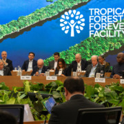 O secret&aacute;rio-geral da ONU, Ant&oacute;nio Guterres, e o presidente brasileiro, Luiz In&aacute;cio Lula da Silva, participam do lan&ccedil;amento do mecanismo "Florestas Tropicais para Sempre" na COP30