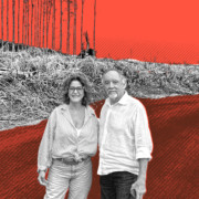 Economistas desenham fundo para dar escala &agrave; transi&ccedil;&atilde;o (a come&ccedil;ar pelo agro)