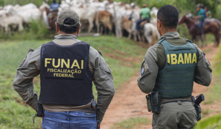 Um fiscal da Funai e um do Ibama estão de costas e olham para um rebanho de gado Um fiscal da Funai e um do Ibama estão de costas e olham para um rebanho de gado