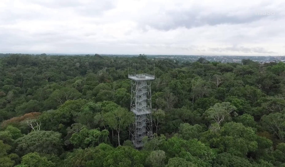 Mais ambição e menos idealização: Os conselhos de um Benchimol para investidores na Amazônia