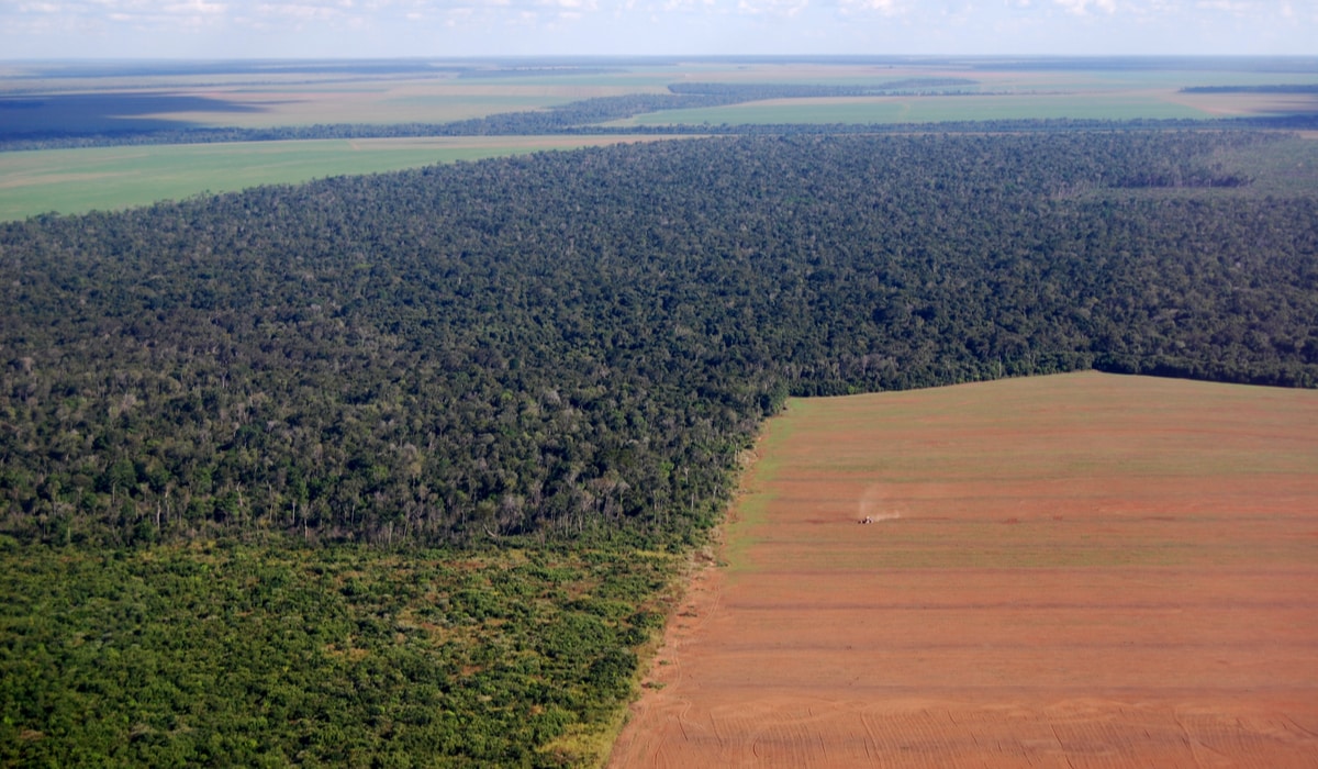 A carta de intenções de Bradesco, Itaú e Santander para a Amazônia