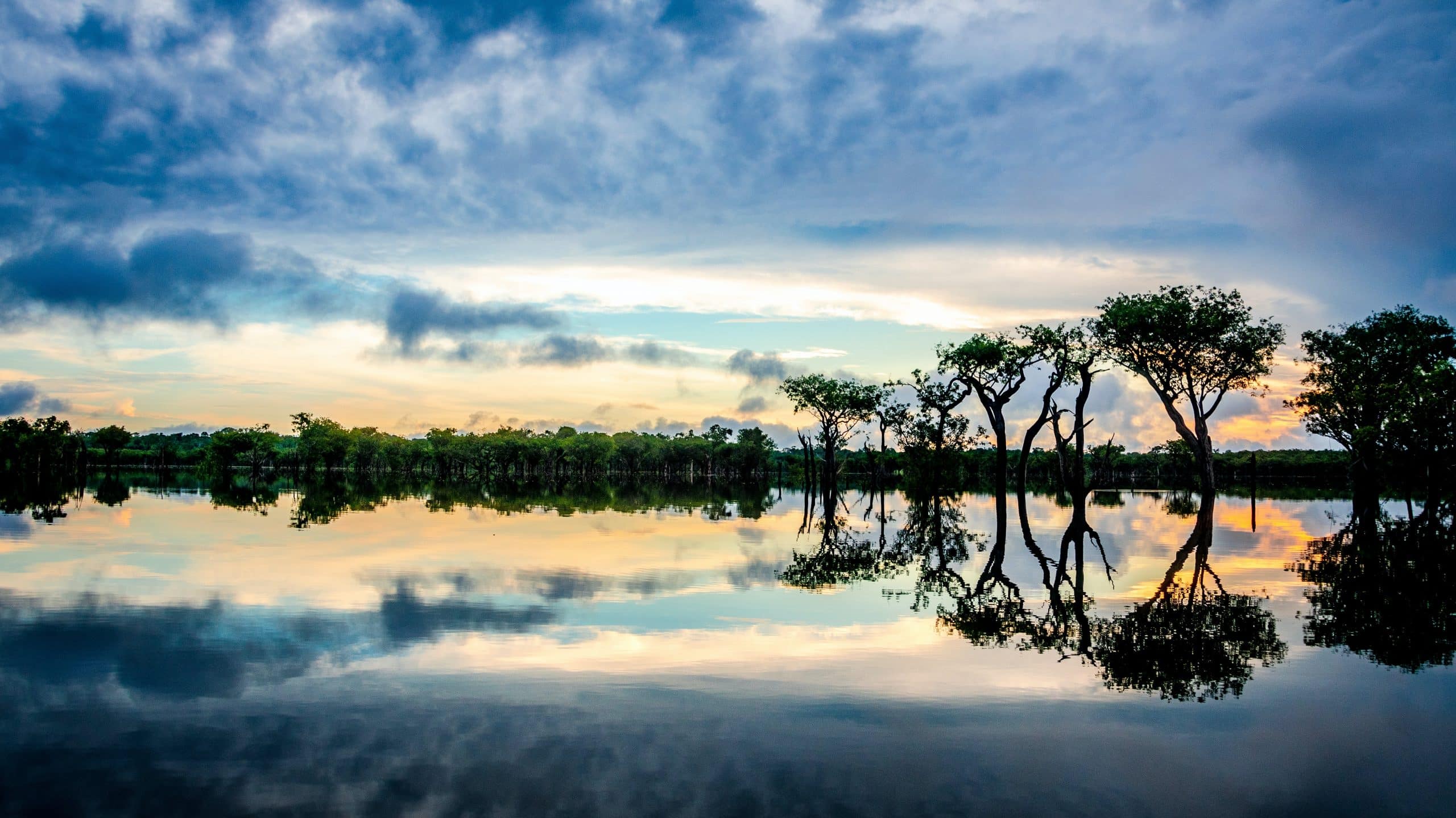 Bradesco, Itaú e Santander nomeiam conselho de notáveis pró-Amazônia e agora vão trazer grandes frigoríficos para a mesa