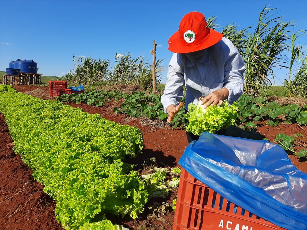 MST vai ao mercado de capitais para financiar agricultura familiar