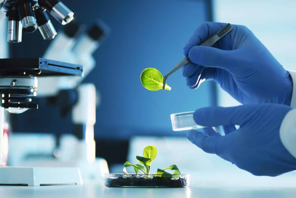 Vittia traz setor de biodefensivos para a bolsa —  e une agro e ESG