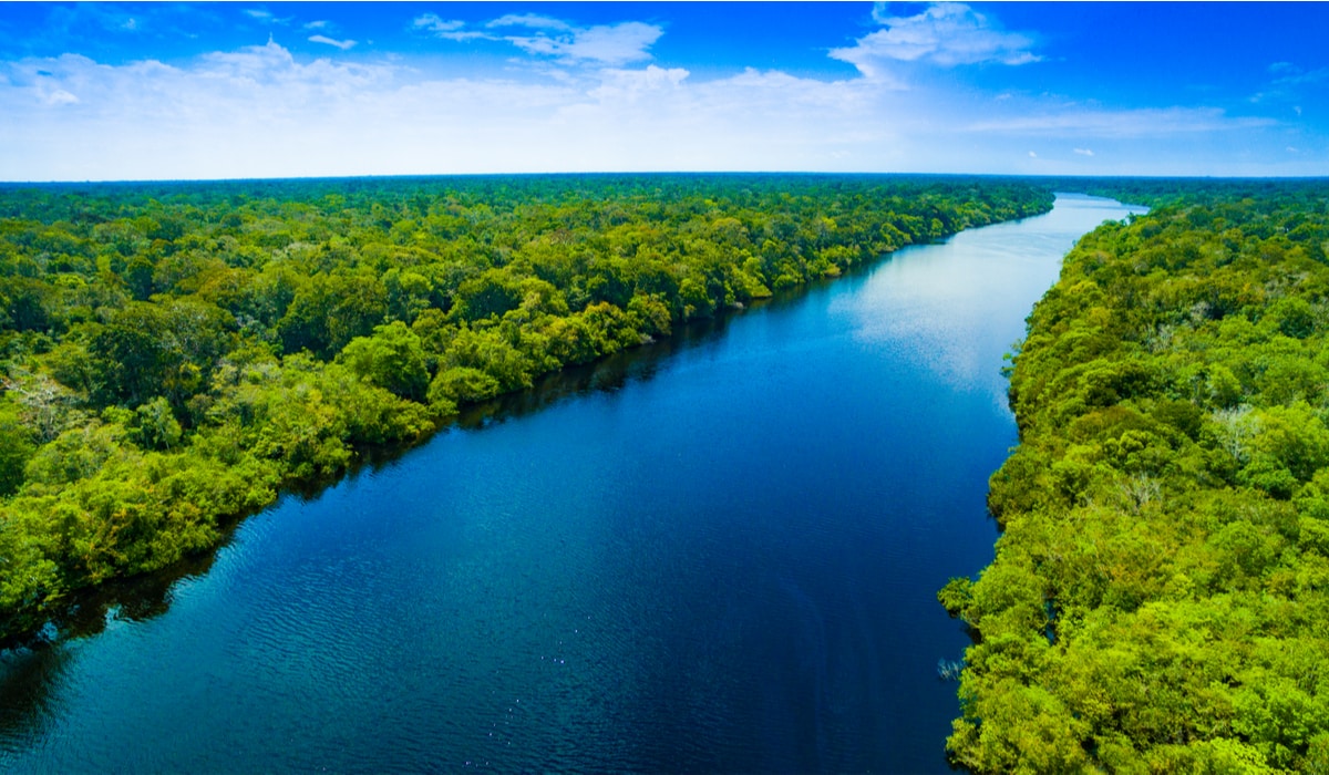 Brasil pós-eleição: Um plano de 100 dias para a Amazônia