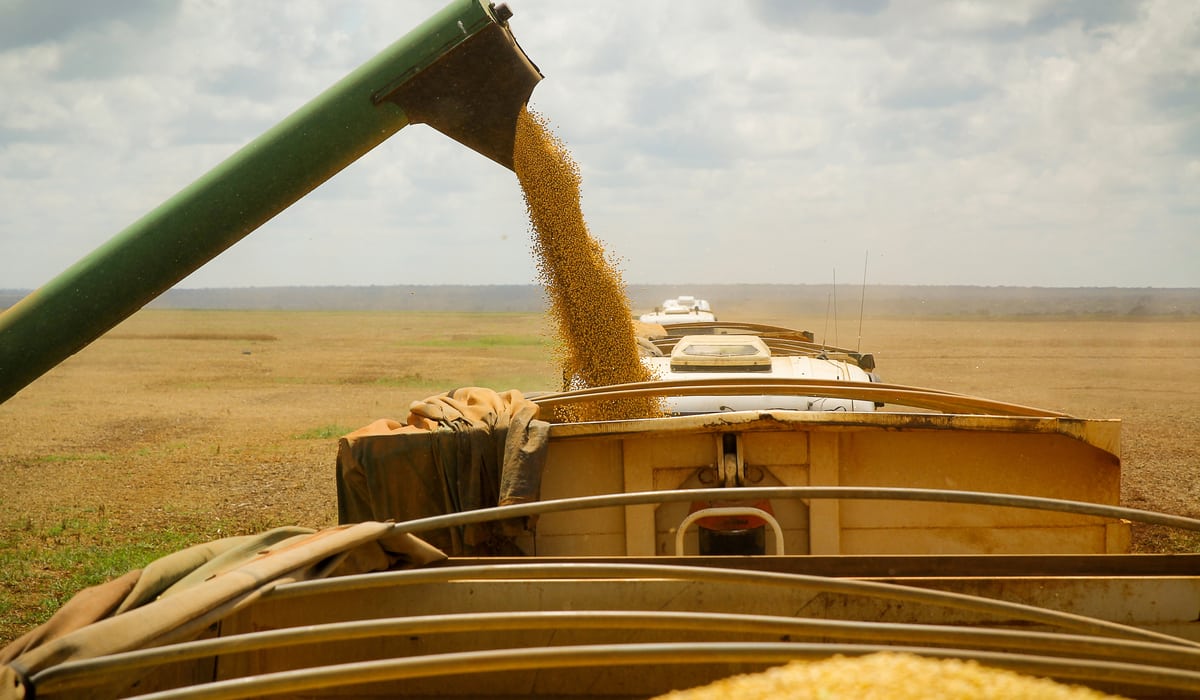 Crise dos fertilizantes é chance para Brasil acelerar agro sustentável