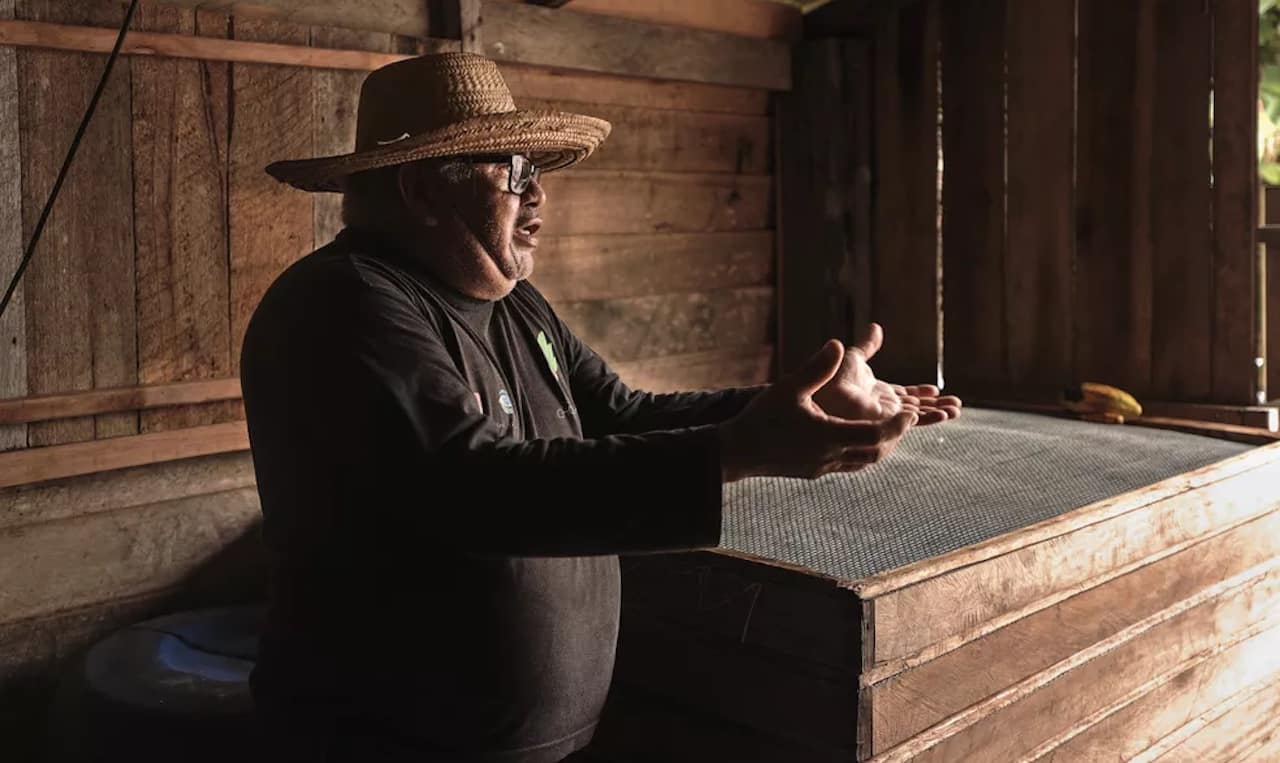 Fotos de César de Mendes e das comunidades amazônicas que dependem da extração do cacau