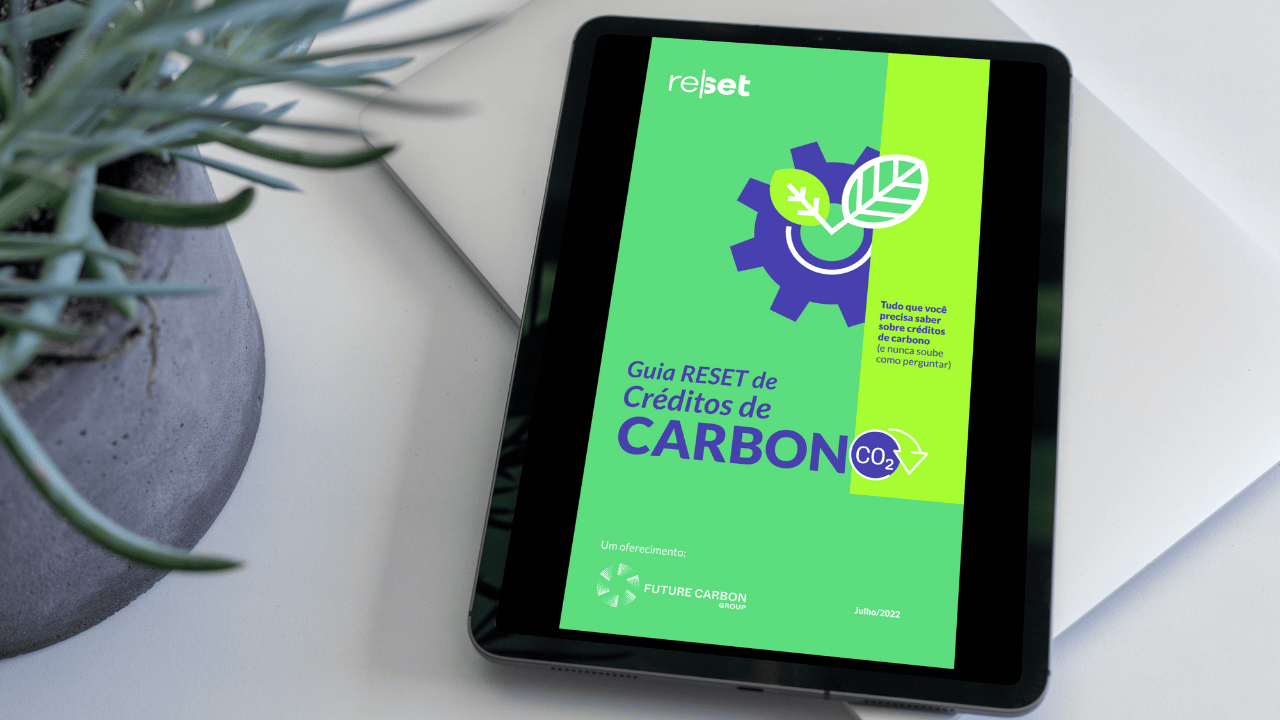 Tudo que você precisa saber sobre créditos de carbono (e não sabia como perguntar)