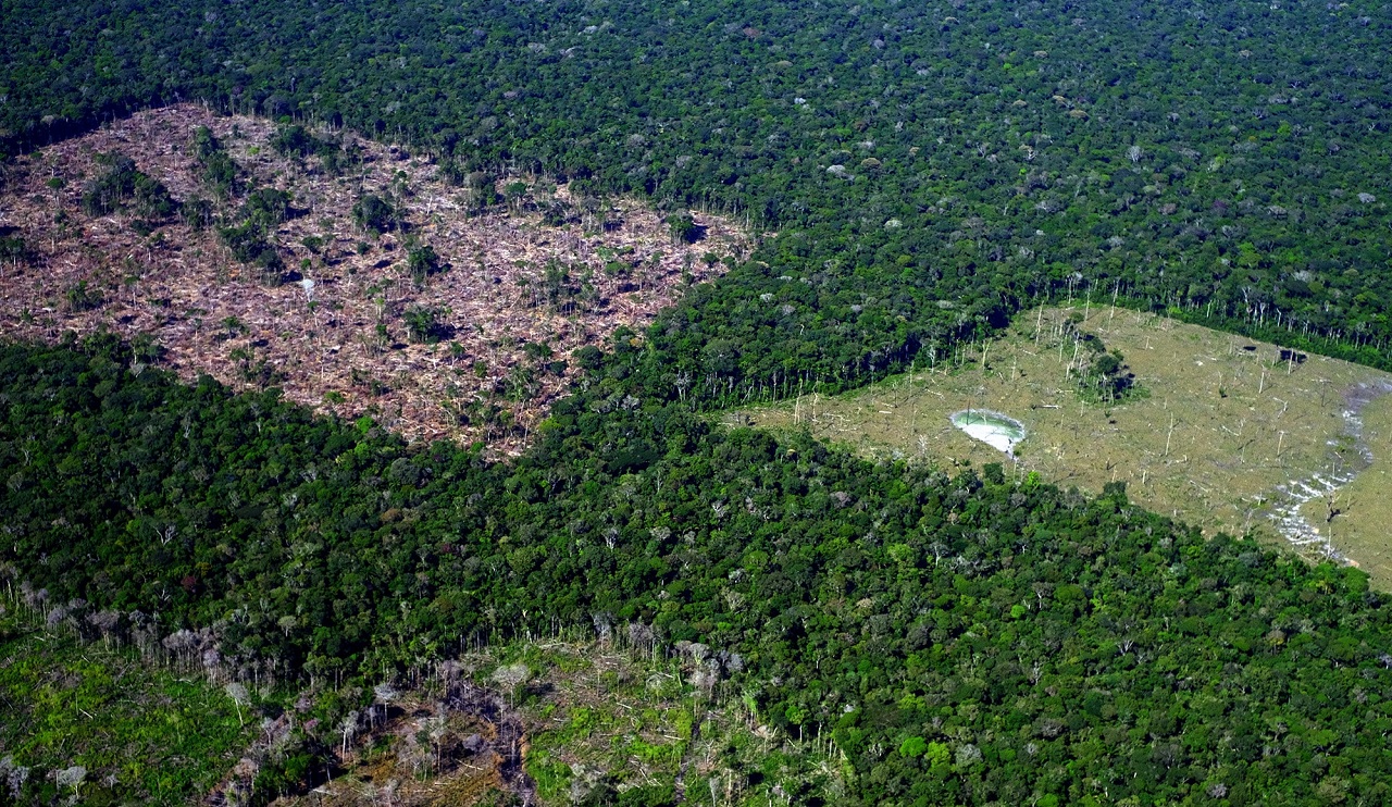 Desmatamento na Amazônia