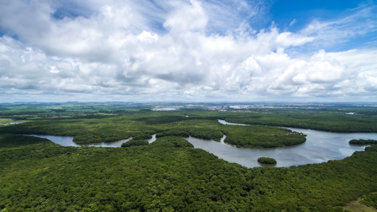 vista aérea de trecho de floresta amazônica cortada por rio e céu azul com nuvens