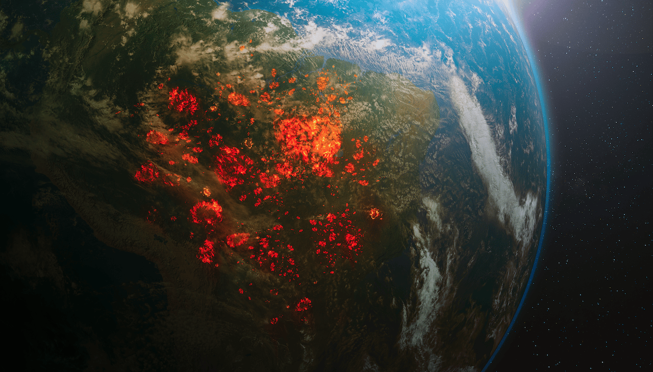 Imagem de satélite mostra queimadas na Amazônia