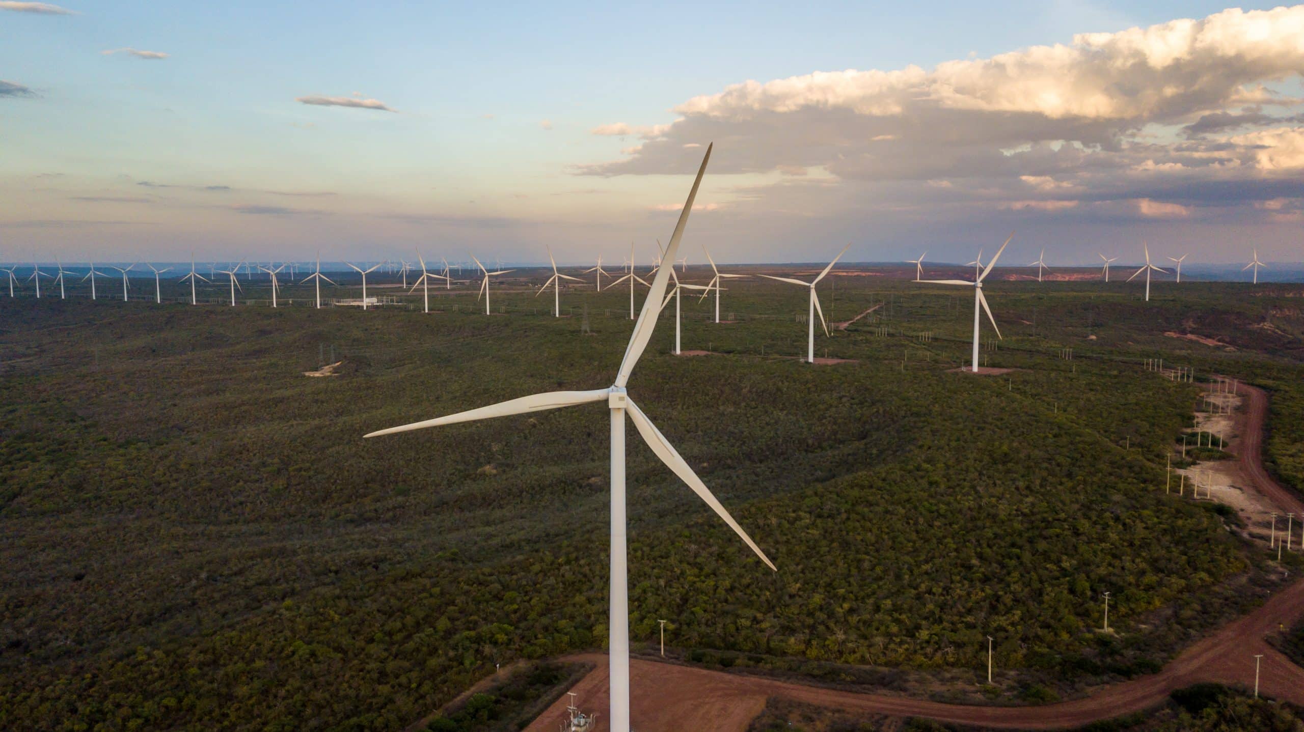 Auren Energia quer avançar em créditos de carbono — além das eólicas