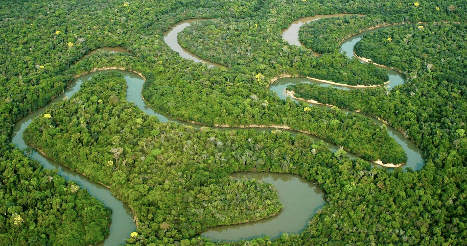 Pará quer captar dívida atrelada a metas de sustentabilidade