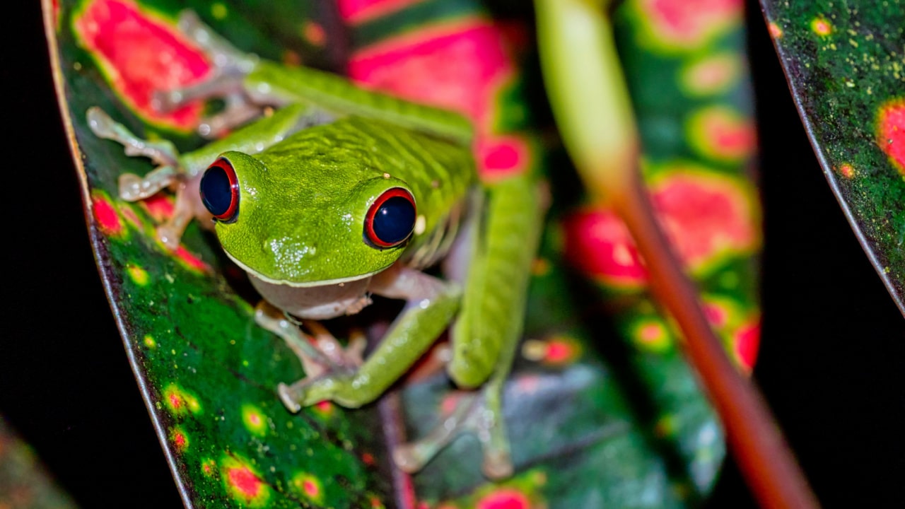 Biodiversidade e capital natural: os próximos trending topics