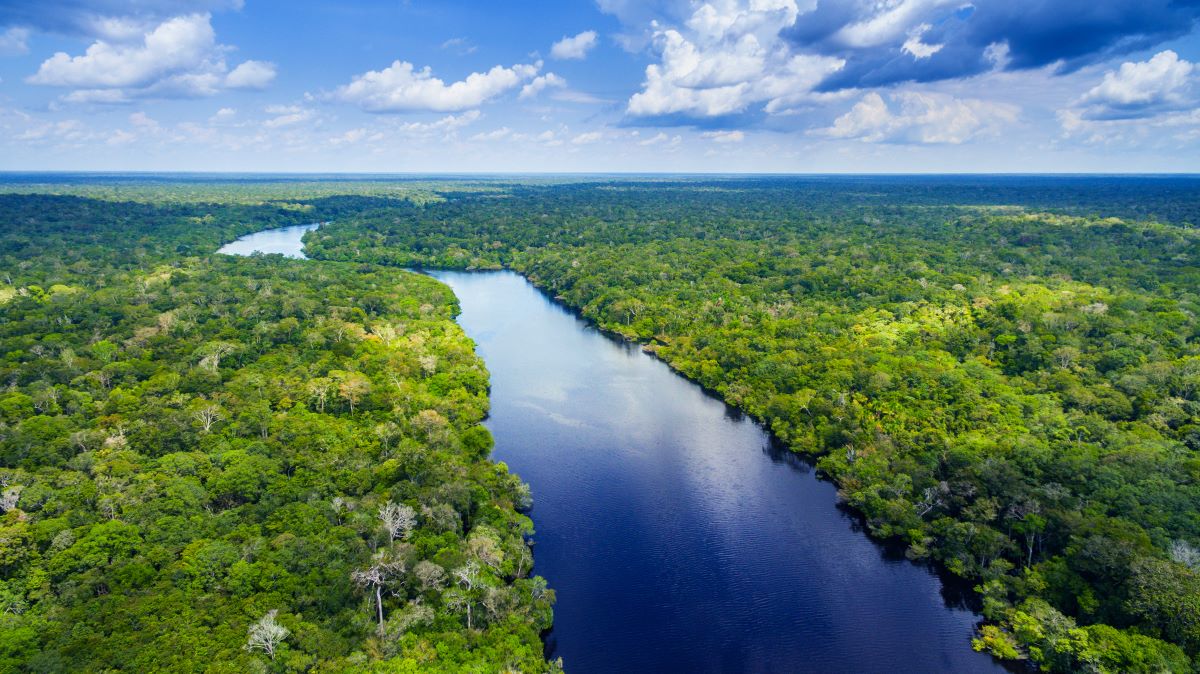 Setor privado pode transformar o Brasil em emissor de créditos de carbono