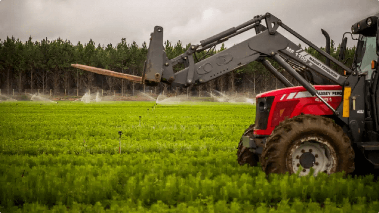 Klabin se engaja nas discussões para a construção de um mercado global de carbono