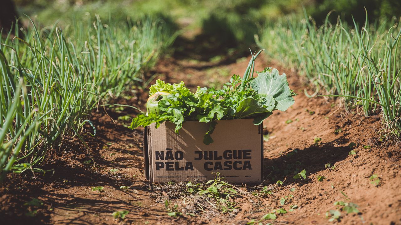 Diferente capta mais R$ 16 mi para expandir venda de orgânicos 'fora do padrão'