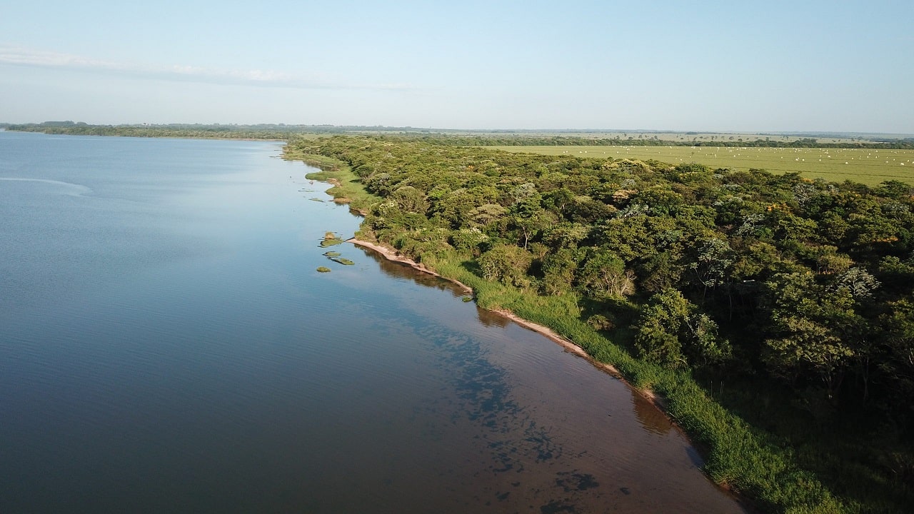 Projeto de reflorestamento de Mata Atlântica da Biofílica Ambipar vai gerar créditos de carbono