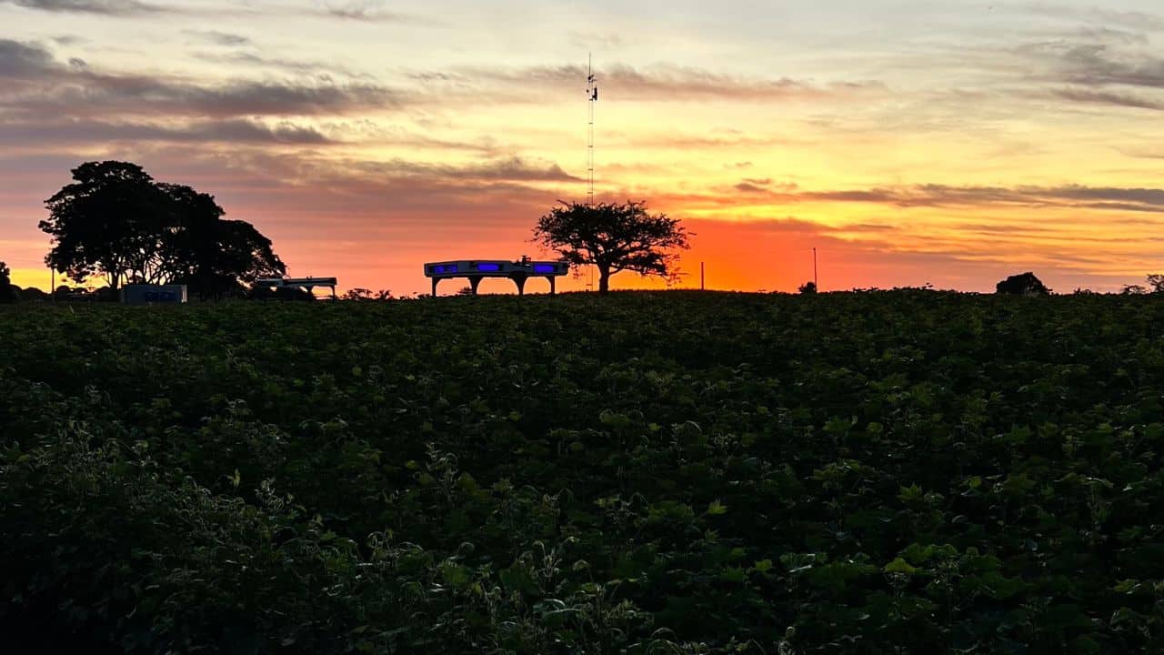 Robô de inteligência artificial caça pragas no campo — sem o uso de químicos