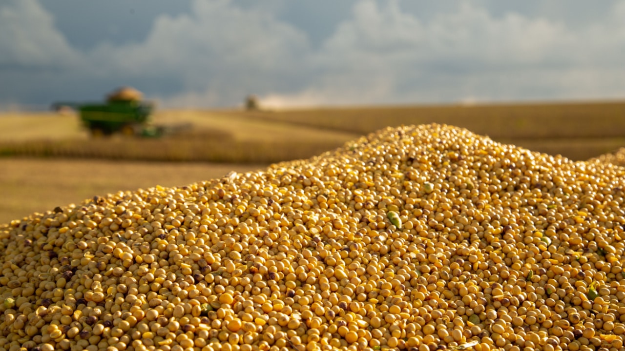 Ministro do agro acena para práticas sustentáveis, mas critica barreiras ambientais