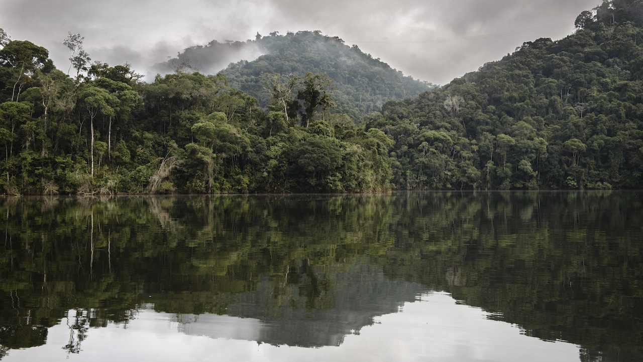 A Reservas Votorantim e a Eccon acabam de colher a primeira safra de carbono gerado a partir de uma nova metodologia que mede serviços ambientais na Mata Atlântica