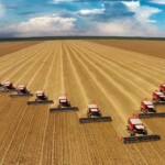 Colheitadeiras em campo de soja no Mato Grosso