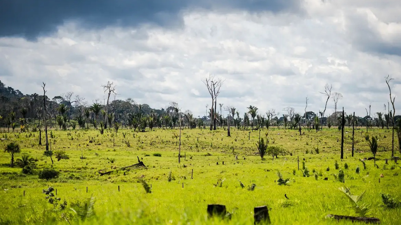 Pastagem degradada na Amazônia Legal