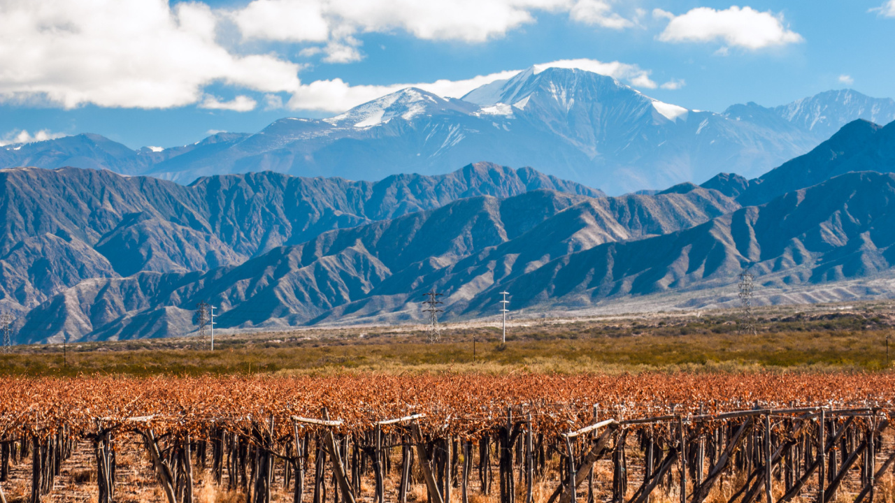 As mudanças climáticas reduziram a quantidade de neve nos Andes, mudando o mapa dos vinheodos na Argentina