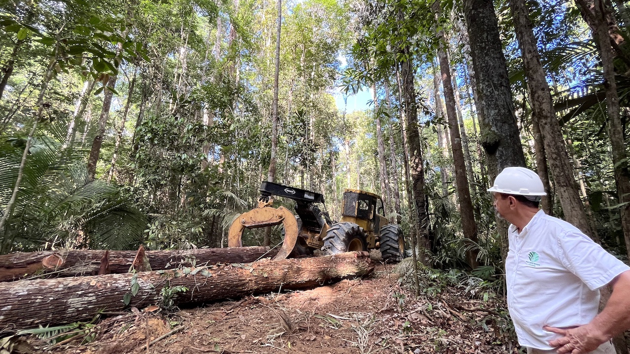 Operação da Mil Madeiras Preciosas, que faz manejo sustentável na Amazônia