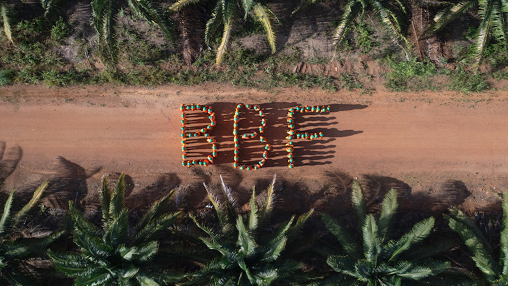 Funcionários formam o logotipo da Brasil Biofuels