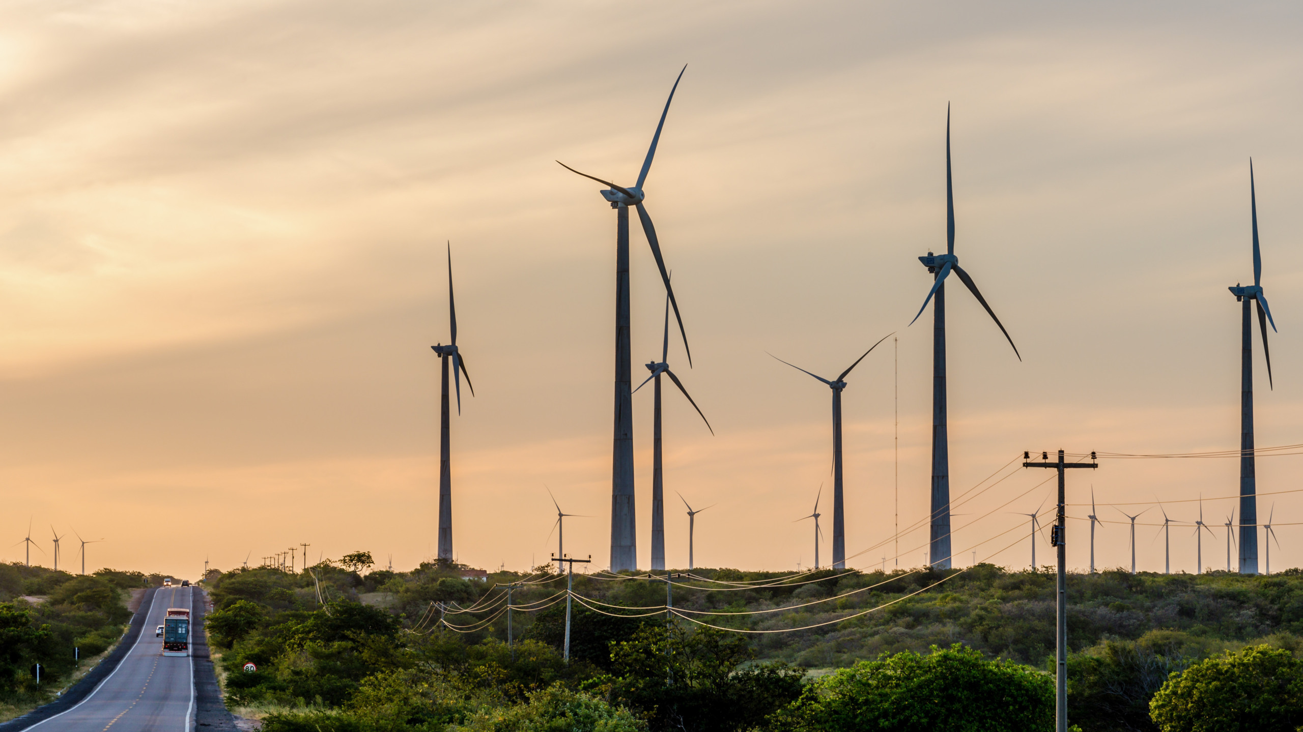 ONGs alertam para exploração de pequenos proprietários em contratos com geradoras de eólicas no Nordeste