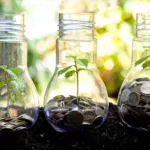 São Paulo quer atrair recursos privados para restaurar a natureza – mas não com concessões