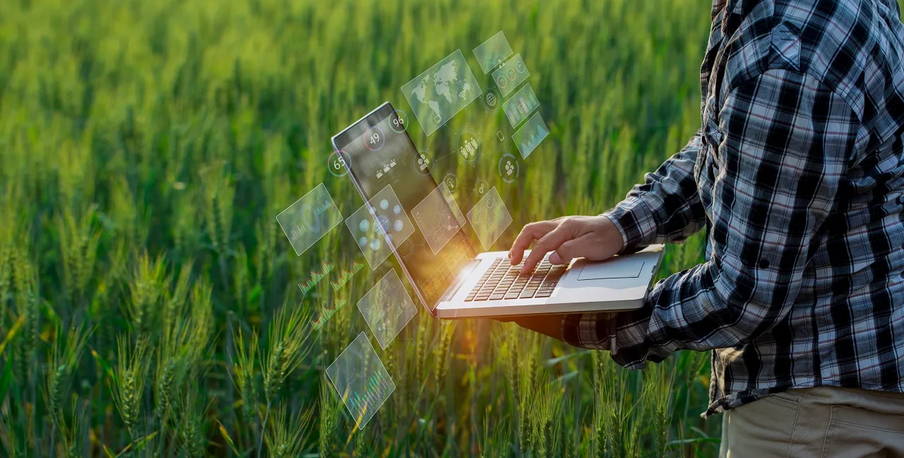 A Salva quer levar o big data para a fazenda